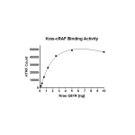 Kras Q61R–cRAF Binding Assay Kit